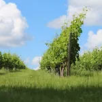 Le Domaine Du Bel Air