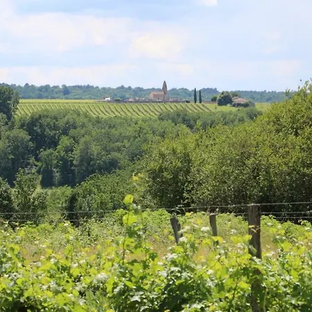 Le Domaine Du Bel Air Blasimon