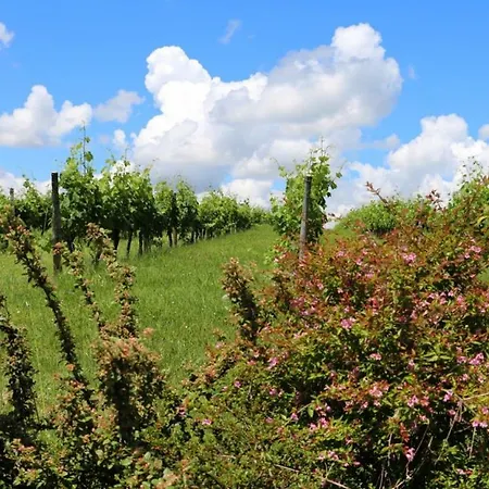 度假居 Le Domaine Du Bel Air Blasimon