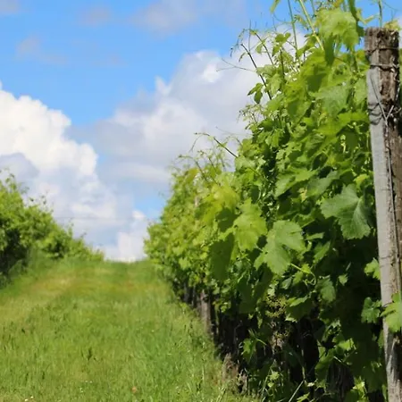 度假居 Le Domaine Du Bel Air Blasimon